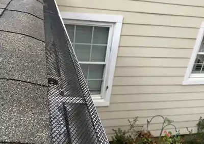 Professional Landscaping Services