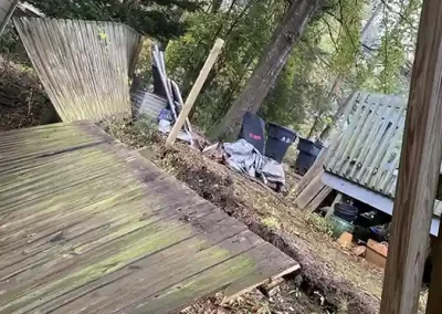 Professional Landscaping Services