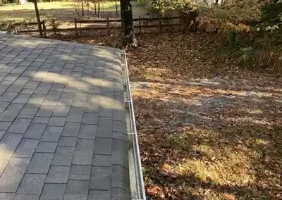 Professional Landscaping Services