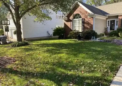 Professional Landscaping Services