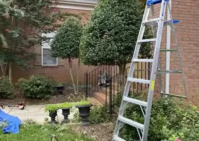 Professional Landscaping Services