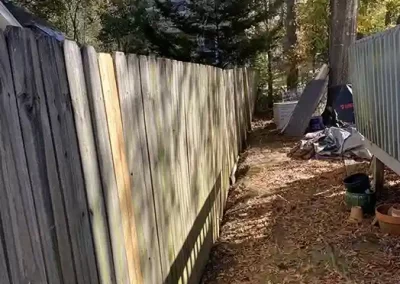 Professional Landscaping Services