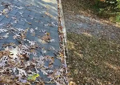Professional Landscaping Services
