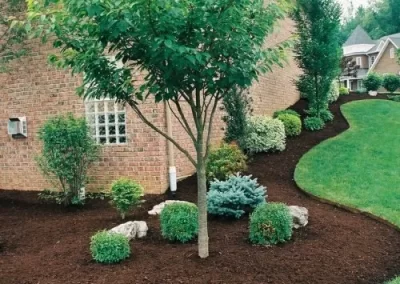 Professional Landscaping Services