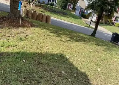 Professional Landscaping Services