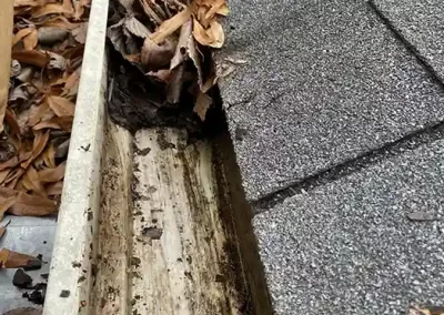 Professional Landscaping Services