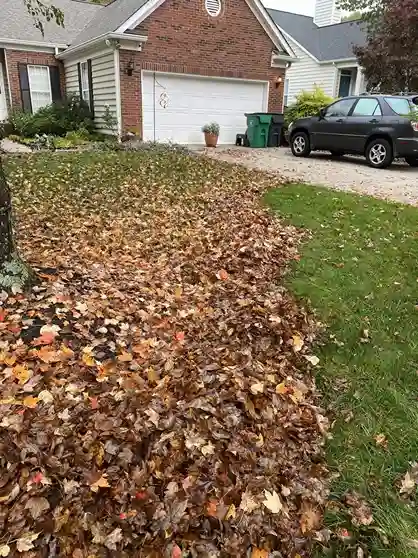 Reliable Landscaper