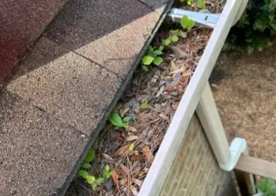 Gutter Cleaning