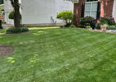 Yard Cleaning Services