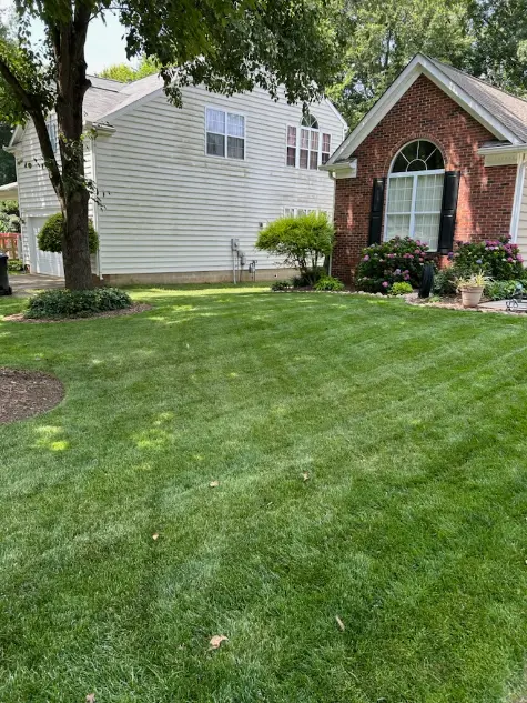 Yard Cleaning Services